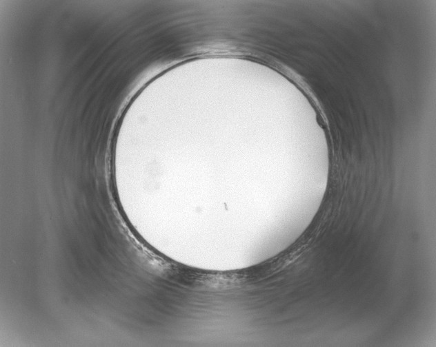 X0000078891195200612111757