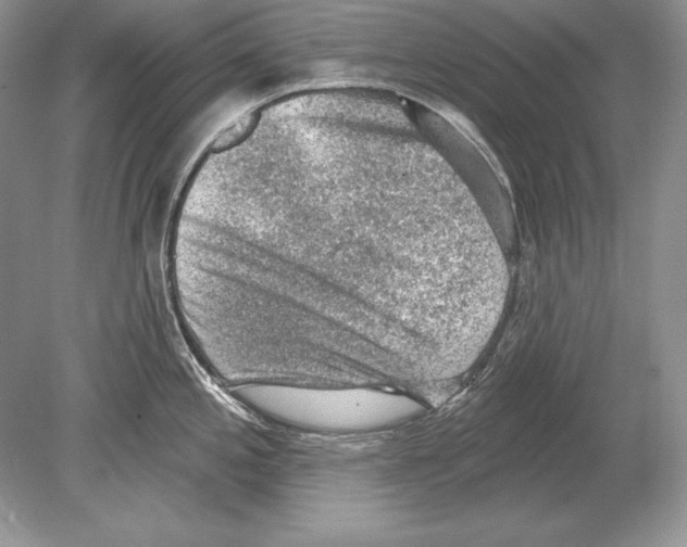 X0000078891197200612111757