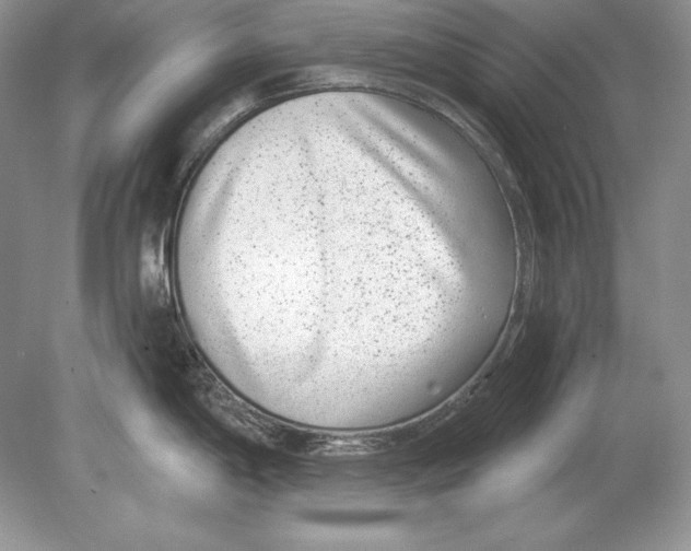 X0000078891198200612111757