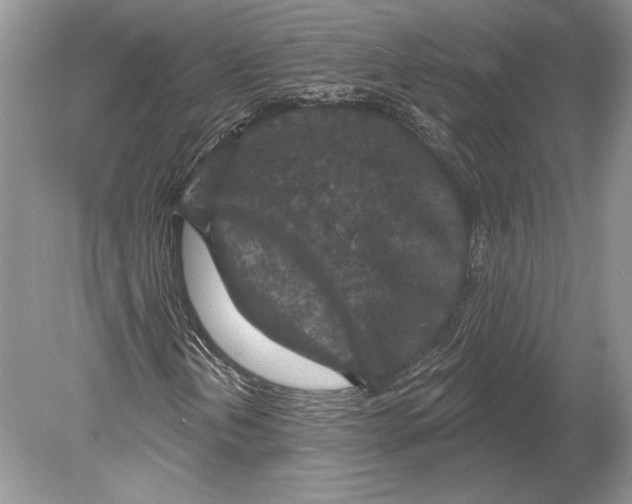 X0000078891202200612111756