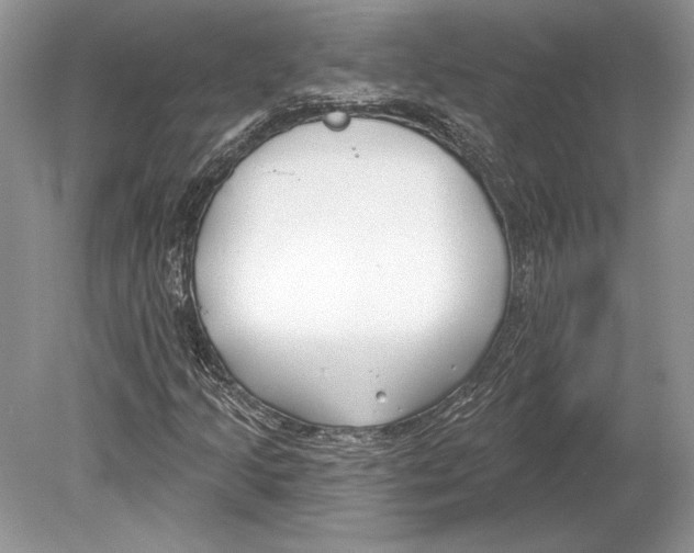 X0000078891205200612111756