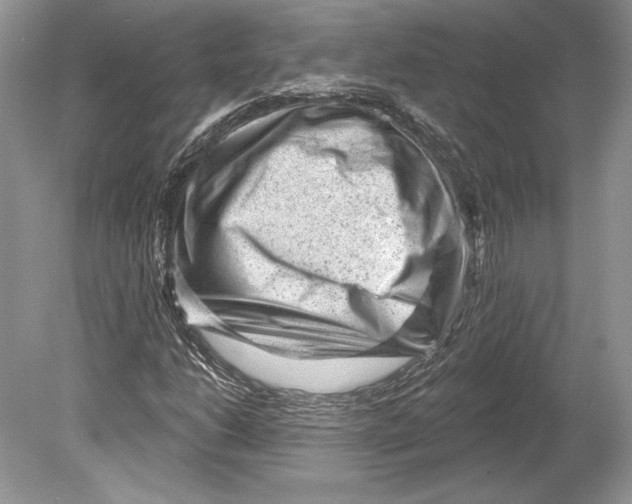 X0000078891206200612111756