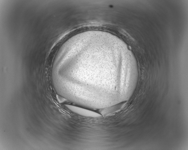 X0000078891208200612111756