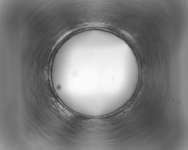 X0000078891212200612111756