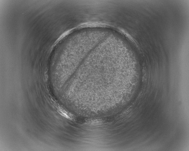 X0000078891213200612111756