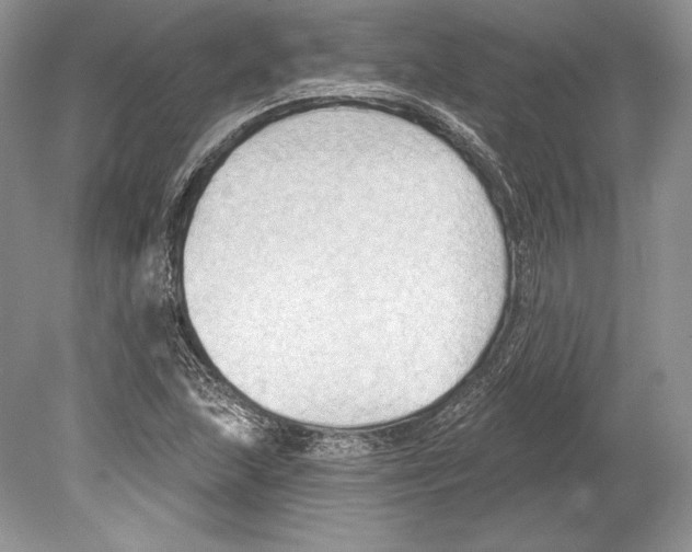 X0000078891215200612111756