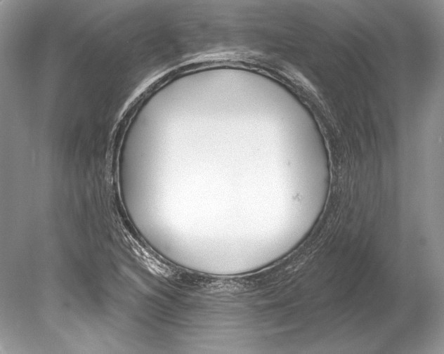 X0000078891216200612111756