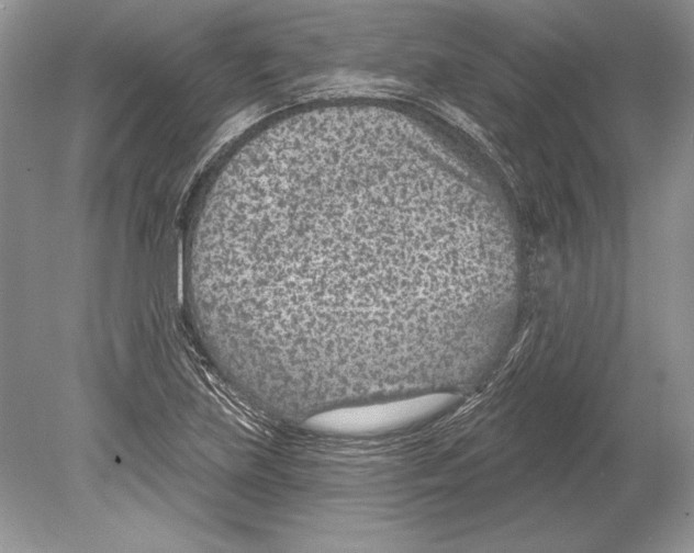 X0000078891219200612111756