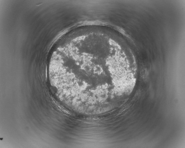 X0000078891221200612111756