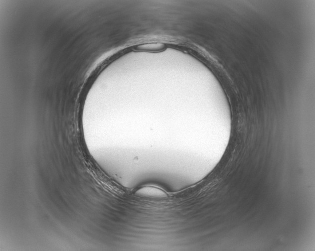 X0000078891222200612111757