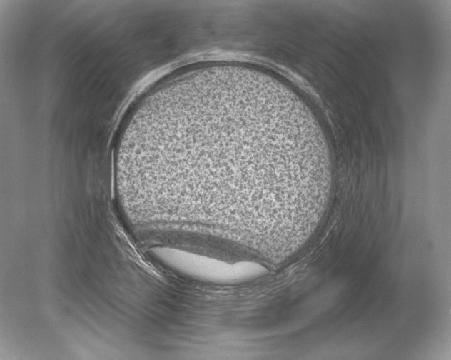 X0000078891223200612111757