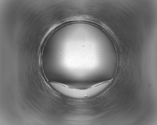 X0000078891224200612111757