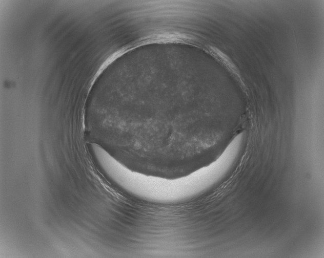 X0000078891226200612111757