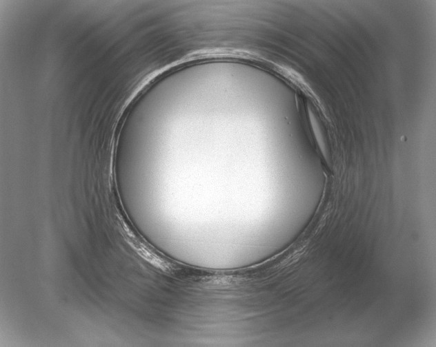 X0000078891228200612111757