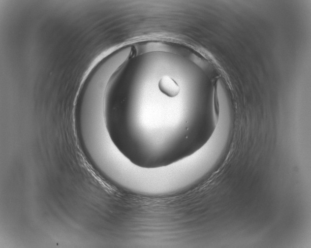 X0000078891230200612111757