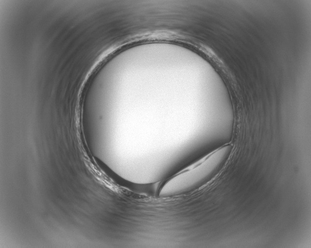 X0000078891232200612111757