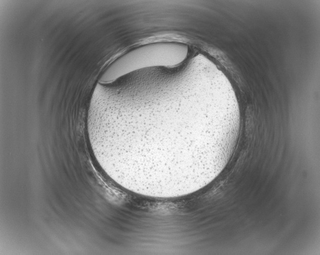 X0000078891233200612111757