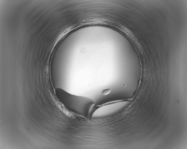 X0000078891234200612111757