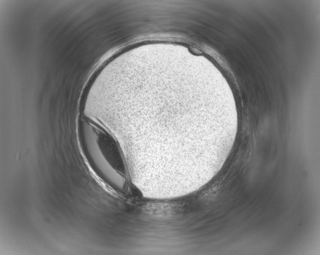 X0000078891237200612111757