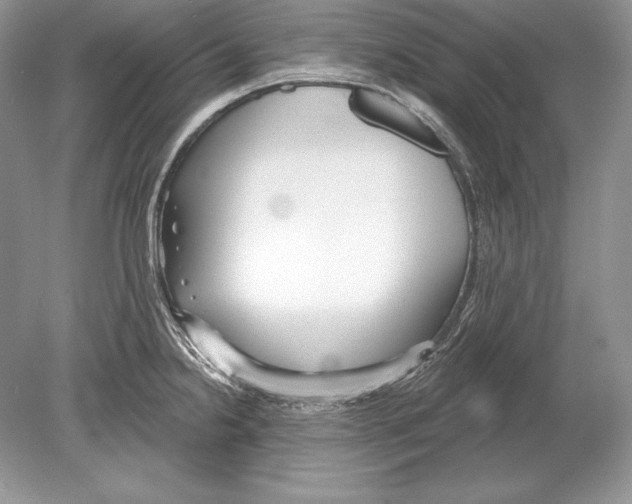 X0000078891238200612111757