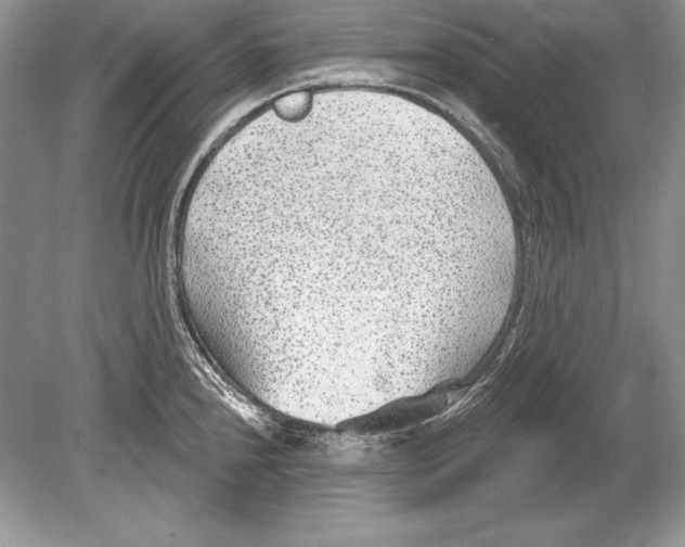 X0000078891240200612111757