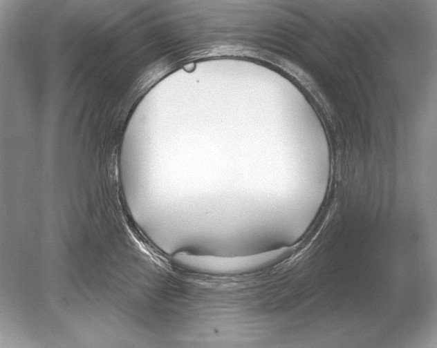 X0000078891241200612111757