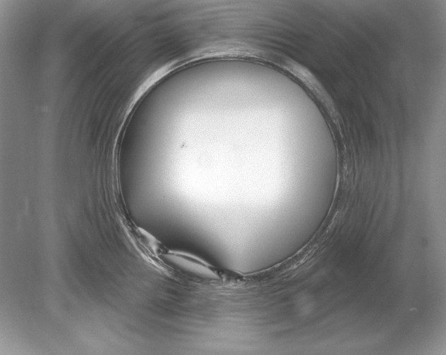 X0000078891242200612111757