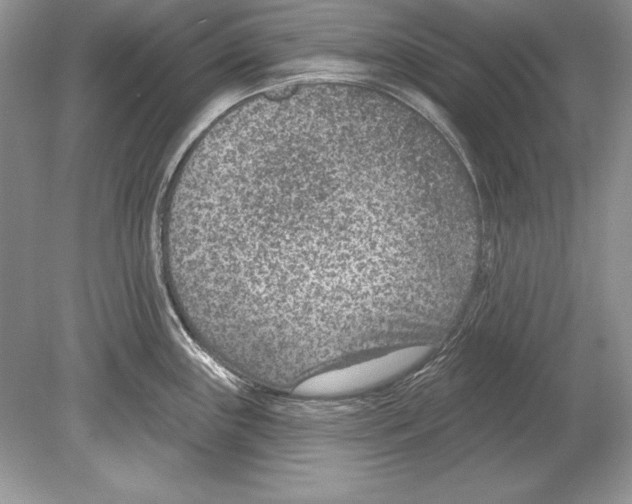 X0000078891243200612111757