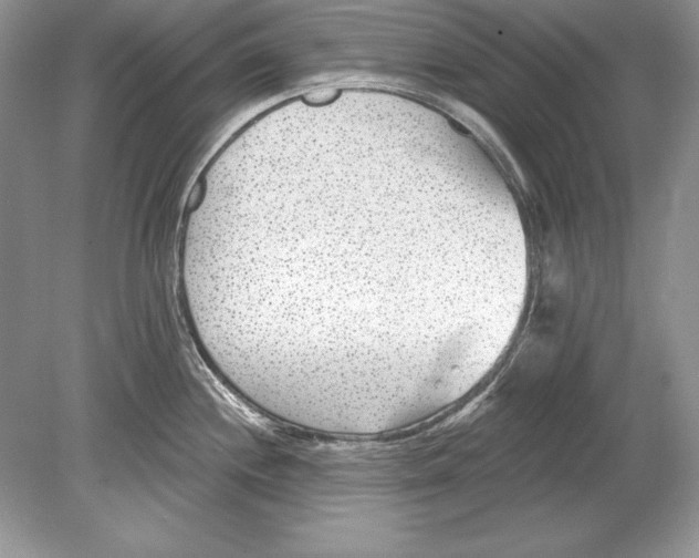 X0000078891244200612111757