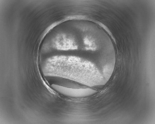 X0000078891245200612111757