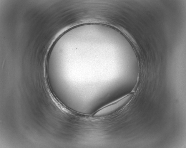 X0000078891246200612111757