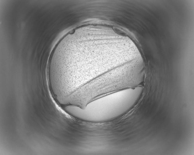 X0000078891247200612111757