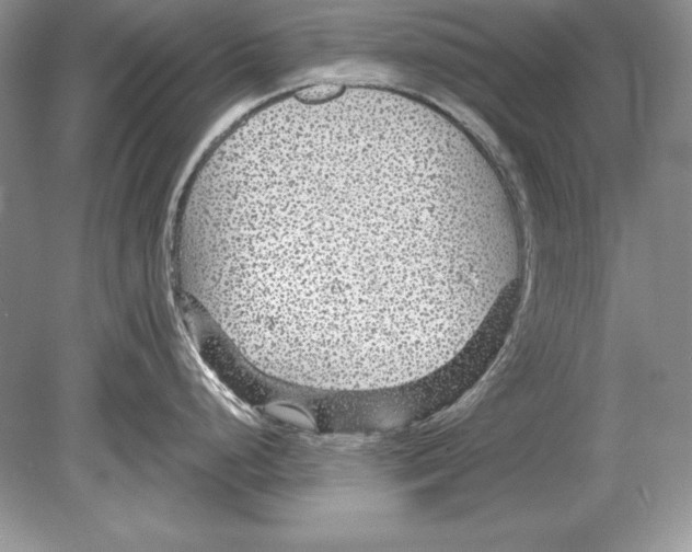 X0000078891248200612111757