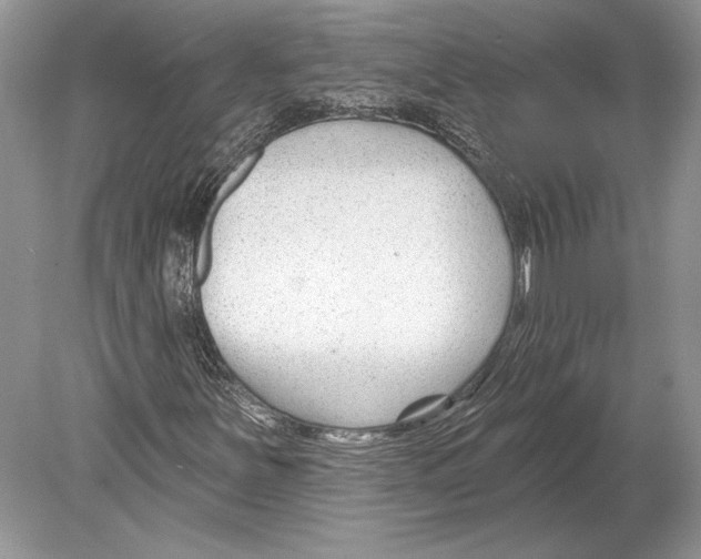 X0000078891251200612111756