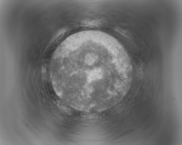 X0000078891254200612111756