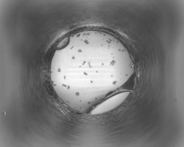 X0000078891255200612111756