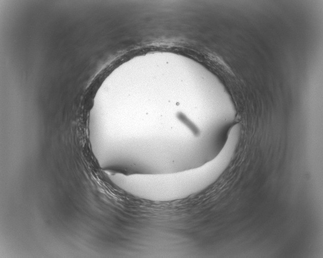 X0000078891256200612111756