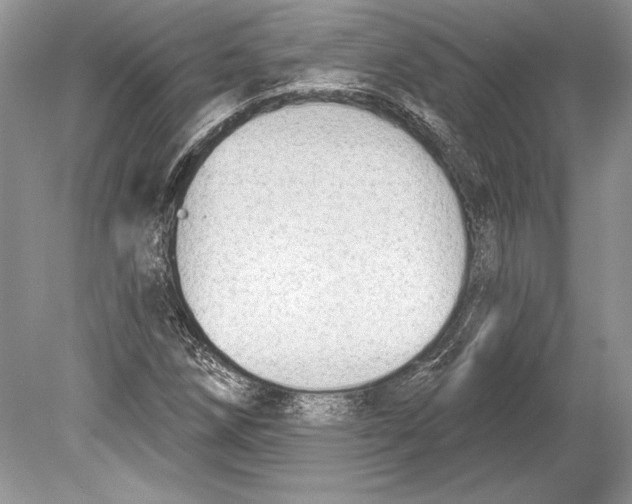 X0000078891258200612111756