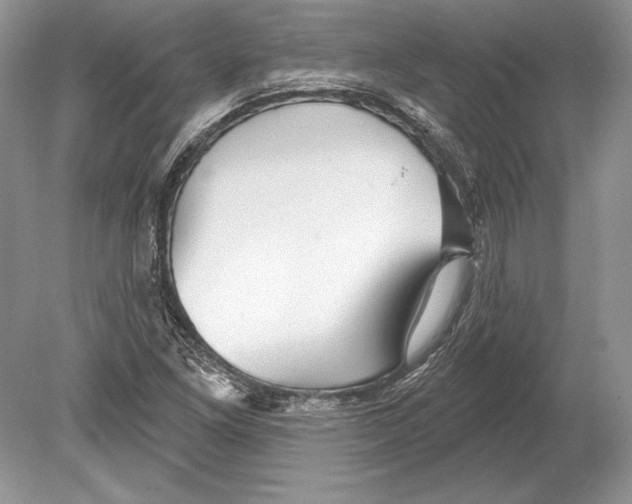 X0000078891261200612111756