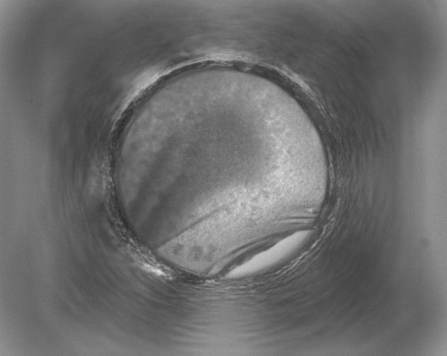 X0000078891263200612111756