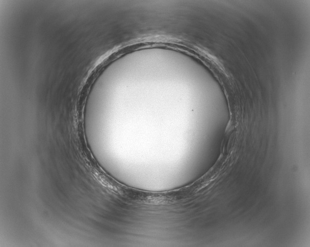 X0000078891264200612111756