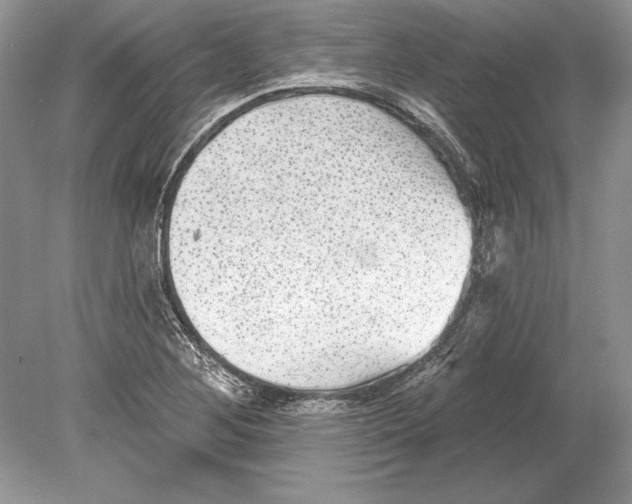 X0000078891268200612111756