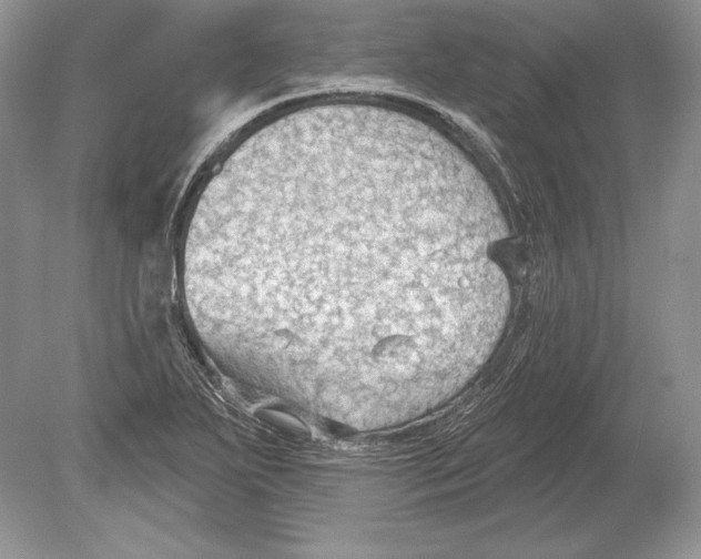 X0000078891271200612111756