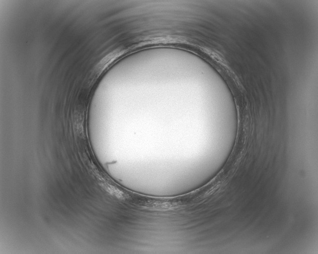 X0000078891273200612111756