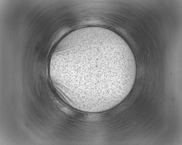 X0000078891274200612111756