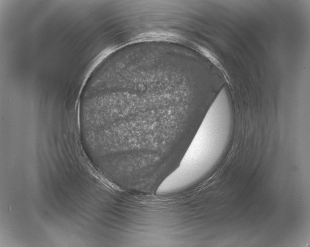 X0000078891275200612111756