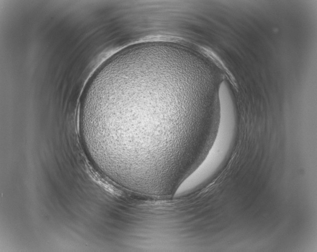 X0000078891276200612111756