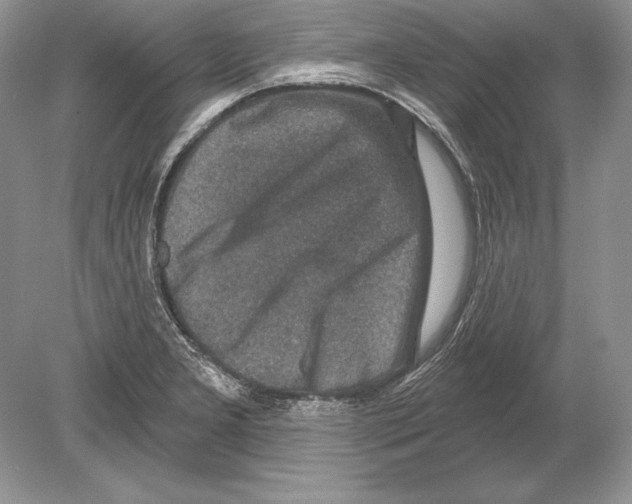 X0000078891277200612111756