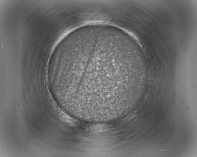 X0000078891279200612111756