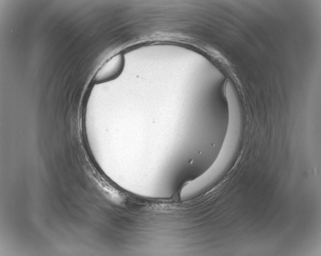 X0000078891280200612111756